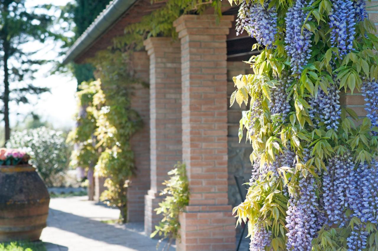 Agriturismo Canale Peccioli Exterior foto